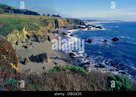 Sonoma Coast State Park near Jenner, California, USA - Rugged Coastline and Beach along Pacific West Coast Stock Photo