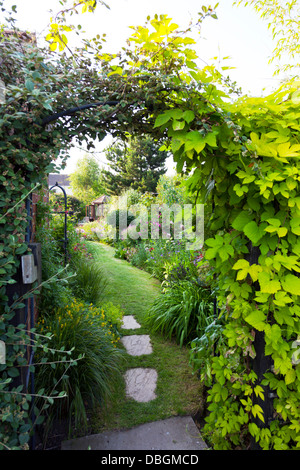 Typical English garden plants flowers path leading through arch archway Stock Photo