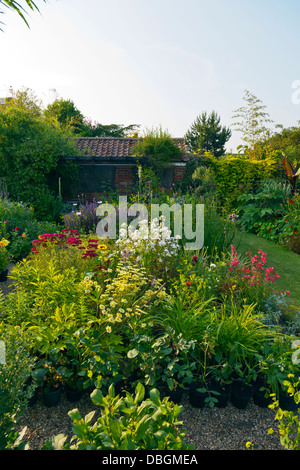 Typical English garden plants flowers densely planted borders Stock Photo