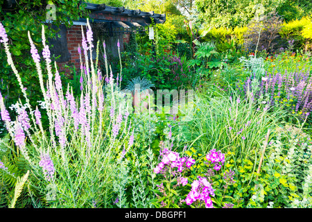 Typical English garden plants flowers planted close various perennials Stock Photo