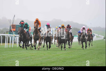 Goodwood, UK. 30th July, 2013. 13:55 HANDICAP 1m 1f 192y winner Veiwpoint ridden by Richard Hughes during day one of the at Glorious Goodwood Festival. Credit:  Action Plus Sports/Alamy Live News Stock Photo