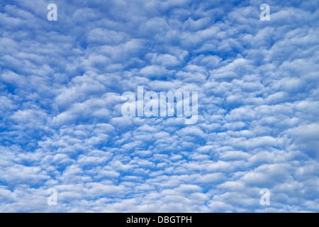 Abstract blue sky and white clouds Stock Photo