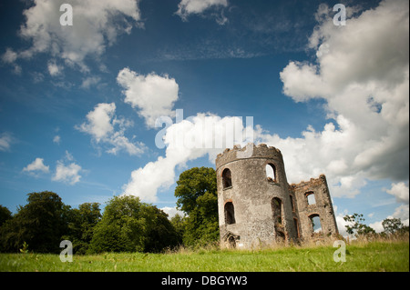 Ruined tower of Shanes Castle on the shores of Lough Neagh, Antrim, Northern Ireland. Stock Photo