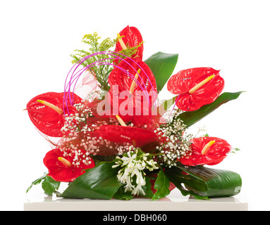 Red anthurium flower isolated on white background Stock Photo