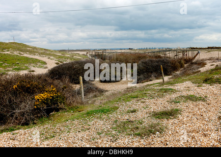 Heligoland bird Trap at the Dungeness Bird Observatory Kent England UK