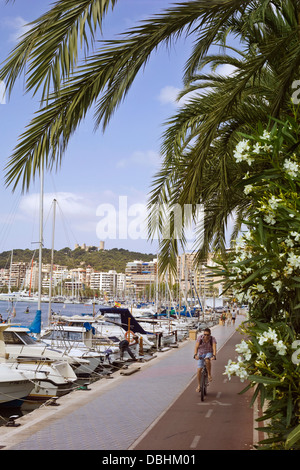 The waterside path for walking and cycling, alongside the boats in the marina at Palma de Mallorca Stock Photo