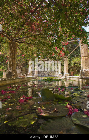 xTranquil pool in the gardens of the Banos Árabes (Arab Baths) in Palma de Mallorca, Spain Stock Photo