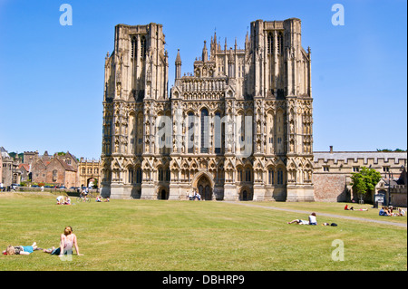 Wells Cathedral green, Somerset, England Stock Photo