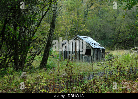 A view of the old hut on Powerstock Common Dorset Stock Photo