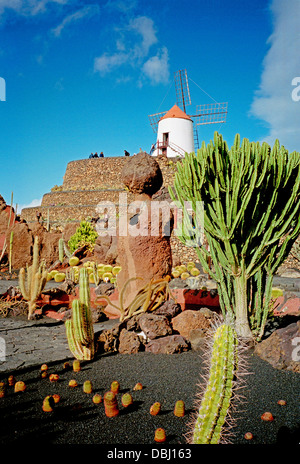 The cactus garden on the Canary Island of Lanzarote designed by Cesar Manrique Stock Photo