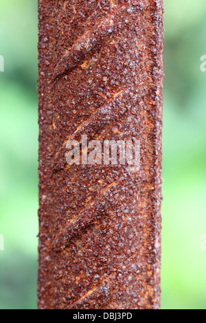 Rusty steel rod Stock Photo