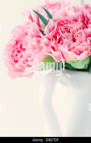 Closeup of pink carnations on light shabby chic background Stock Photo