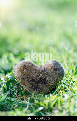Heart shaped stone in green grass with golden sunlight and copy space