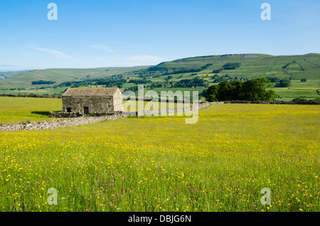 A view of Wensleydale with Penhill in the distance Stock Photo