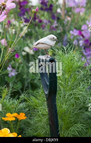 Fake bird perching on garden spade next to sweet peas growing up canes in urban town allotment Stock Photo