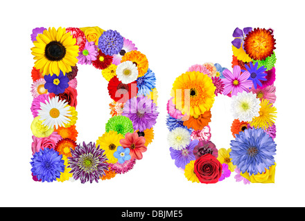 Letter D of Flower Alphabet Isolated on White. Letter consist of many colorful and original flowers Stock Photo