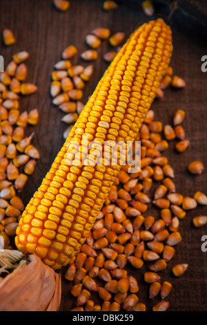 Corn Cob And Kernels, Croatia, Slavonia, Europe Stock Photo