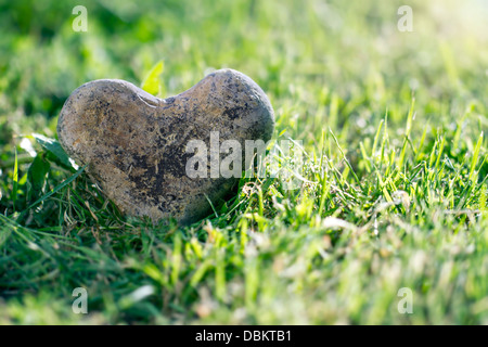 Heart shaped stone in green grass with golden sunlight and copy space Stock Photo