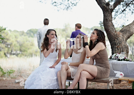 Wedding Celebration Outdoors, Croatia, Europe Stock Photo