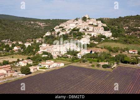 AERIAL VIEW. Medieval hilltop village overlooking a lavender field. Simiane-la-Rotonde, Alpes-de-Haute-Provence, Provence, France. Stock Photo