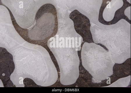 Ice patterns, Natura, Lower Saxony, Germany, Europe Stock Photo