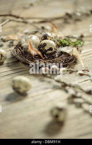 Easter Eggs In Nest, Osijek, Croatia, Europe