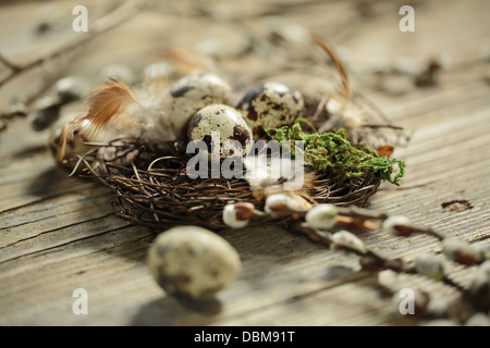 Easter Eggs In Nest, Osijek, Croatia, Europe Stock Photo