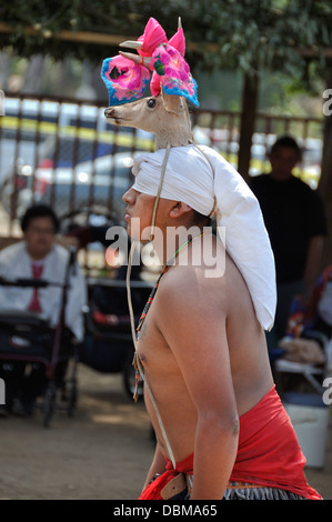 Cupa Day Festival, Pala Indian Reservation, Yaqui Deer Dancer Stock Photo