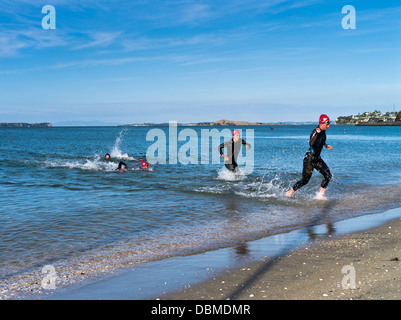 dh Mission Bay AUCKLAND NEW ZEALAND Womens swimmers Stroke and Stride swimrun race Waitemata Harbour swimming people run triathlon zealander women Stock Photo