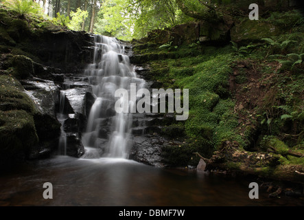 waterfall in Talybont forest Wales Stock Photo