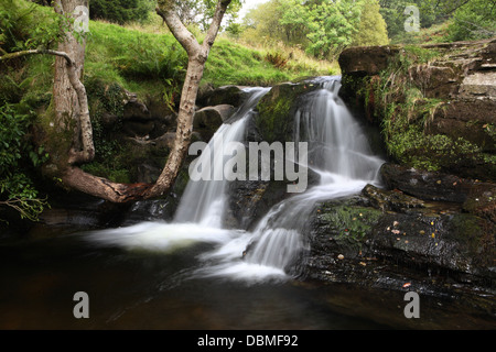 waterfall in Talybont forest Wales Stock Photo