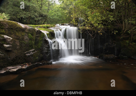 Welsh Waterfall in Talybont forest Stock Photo
