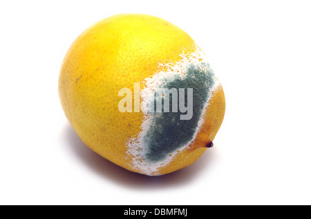 Moulded lemon isolated on a white background Stock Photo