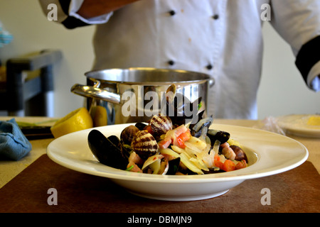 Chef presents freshly cooked plate of mussels and clams in white wine. Stock Photo