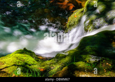 Crystal clear water flowing over green mossy rocks Stock Photo