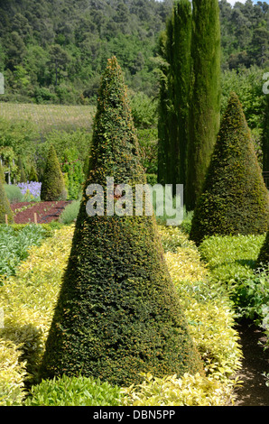 Topiary Gardens with Cone Shaped Yew Trees & Clipped Cypress Trees Château Val Joannis Pertuis Luberon Provence France Stock Photo