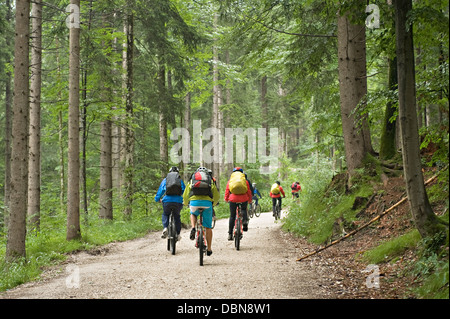 Mountain Bikers, Schwangau-Bleckenau, Bavaria, Germany Stock Photo
