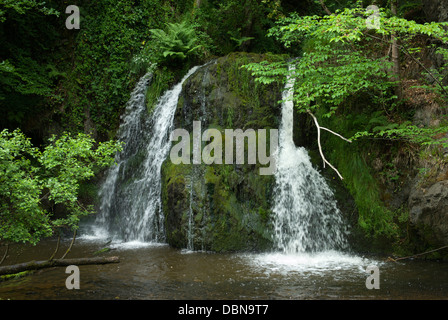 Waterfall in the Fairy Glen near Rosemarkie on the Black Isle in north east Scotland Stock Photo