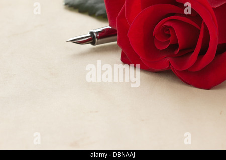 red rose on parchment background Stock Photo