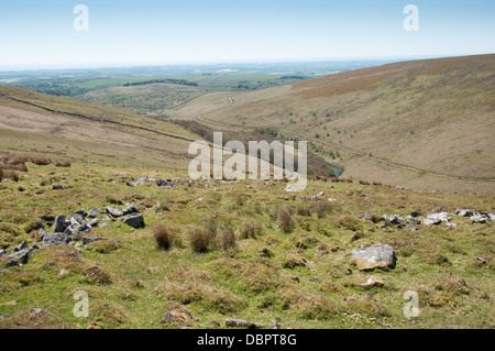View towards Plymouth over River Erme and Piles Copse on Dartmoor Stock Photo