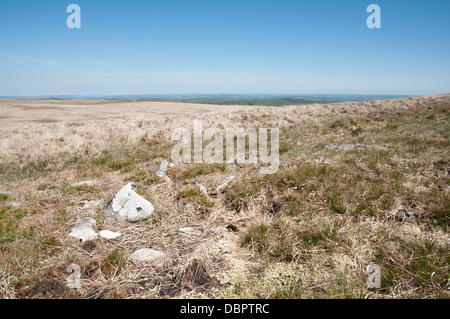 View across moorland from near Three Barrows Dartmoor Stock Photo