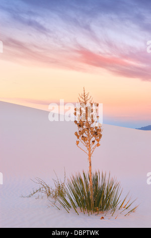 White Sands National Monument, near Alamagordo, New Mexico, part of the Chihuahuan desert. Stock Photo