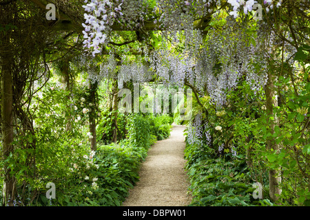 Garden Path Beneath A Pergola Interwoven With Flowering Wisteria Within 