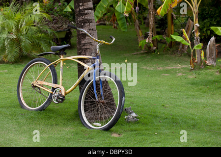 Bicycle leaning against a coconut tree at the Coco View Resort on the Island of Roatan, Honduras. Stock Photo