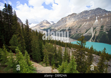 Peyto Lake at Bow Summit in Banff, Alberta Stock Photo - Alamy