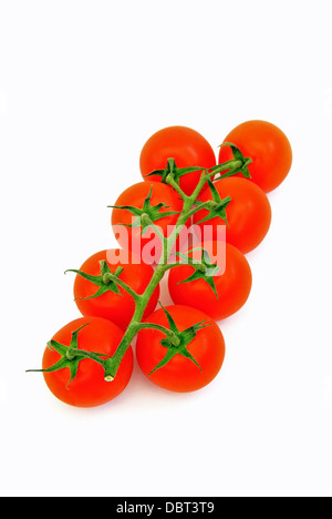 Vine Tomatoes on a clear white background Stock Photo - Alamy