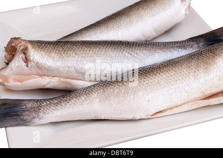Fresh Sea Bass Filleted Fish