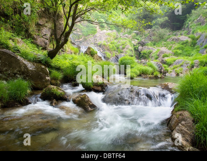 Beautiful river in Galicia. This river is called Belelle and is located in Neda, Galicia, Spain. Stock Photo