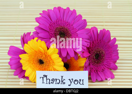 Thank you note with colorful gerbera daisies Stock Photo
