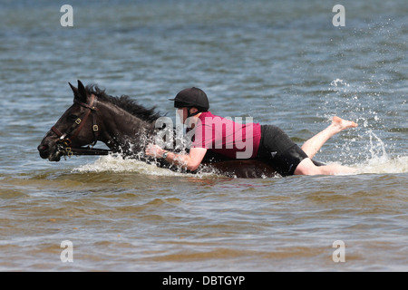 HORSES AND SOLDIERS OF THE HOUSEHOLD CAVALRY (LIFEGUARDS)  IN THE SEA  AT HOLKHAM BEACH ON THE NORTH NORFOLK COAST Stock Photo